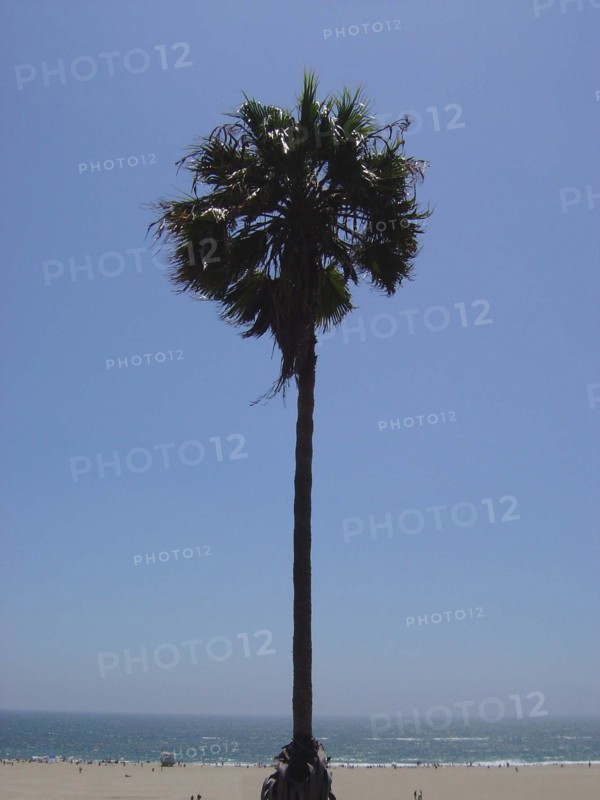 Santa Monica Beach, Los Angeles