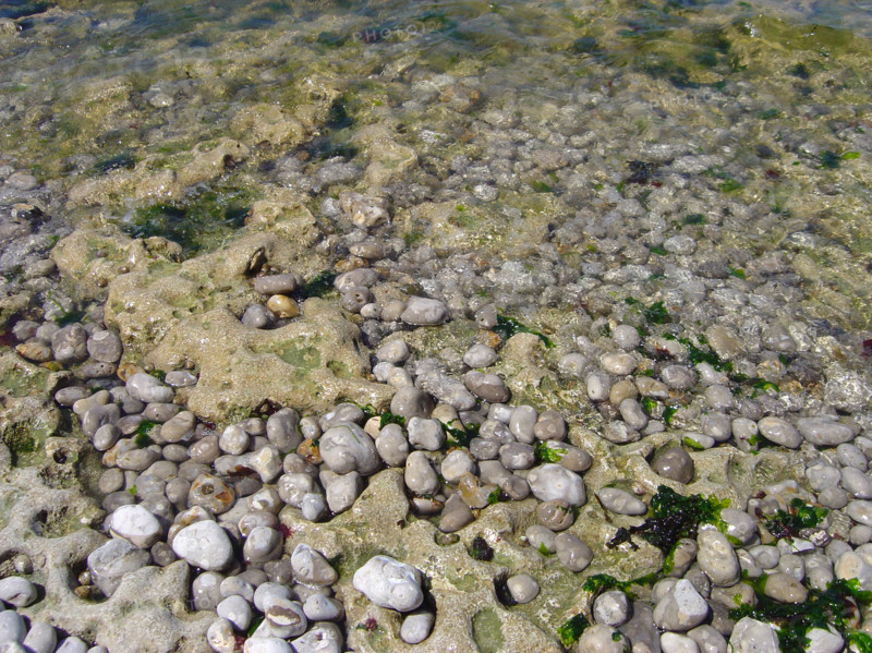 Plage d'Etretat