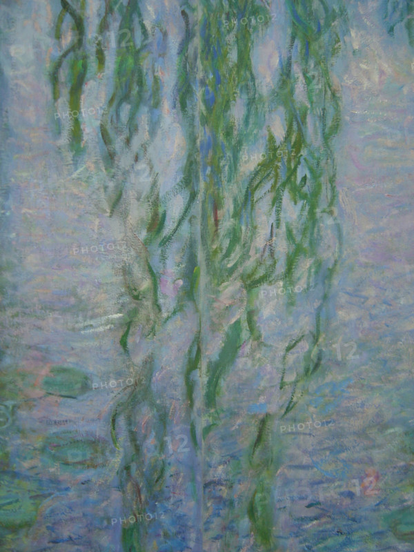 Monet, Nymphéas