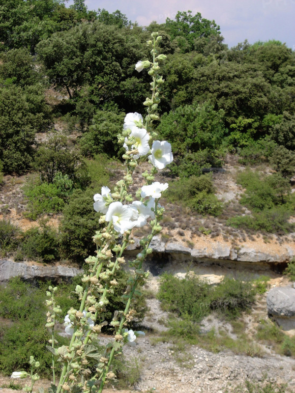 Luberon