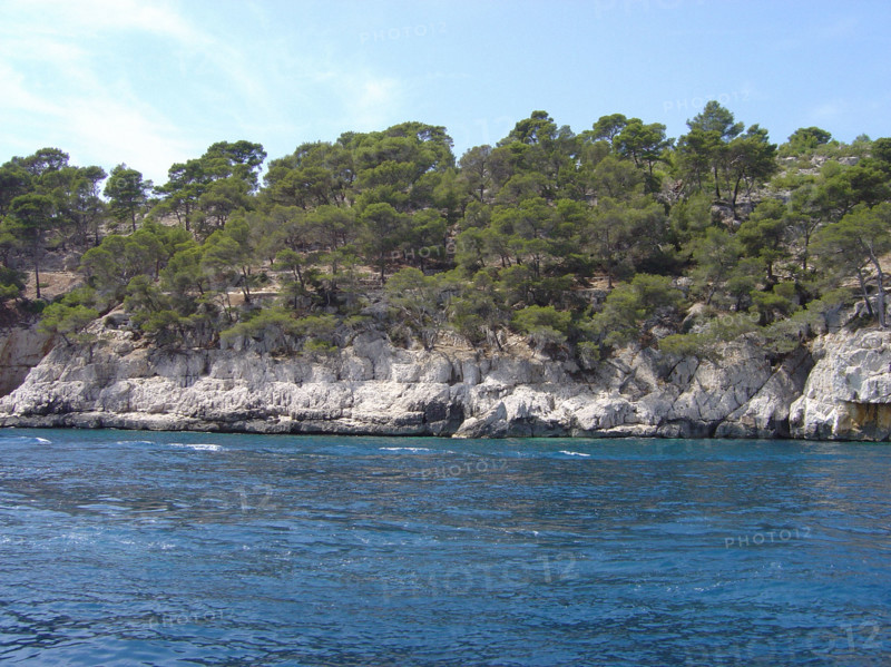 Cassis