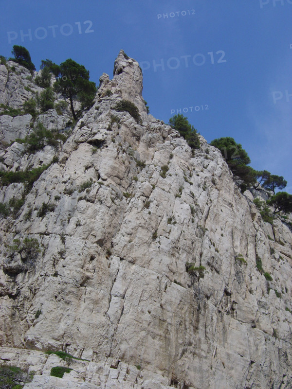 Cassis