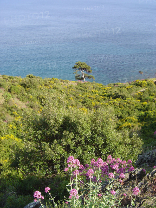 Provence