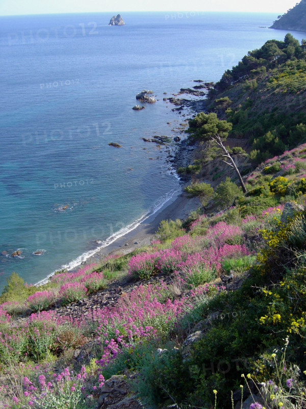 Provence