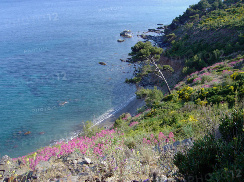 Provence