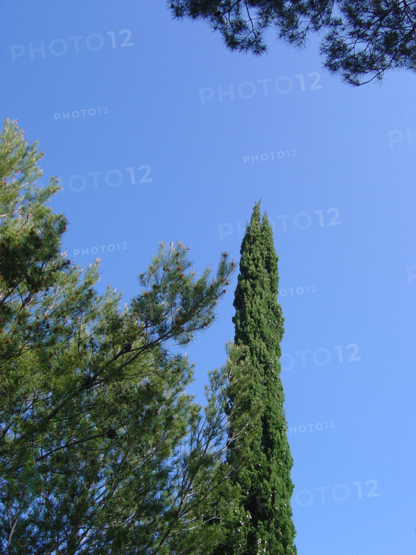 Provence