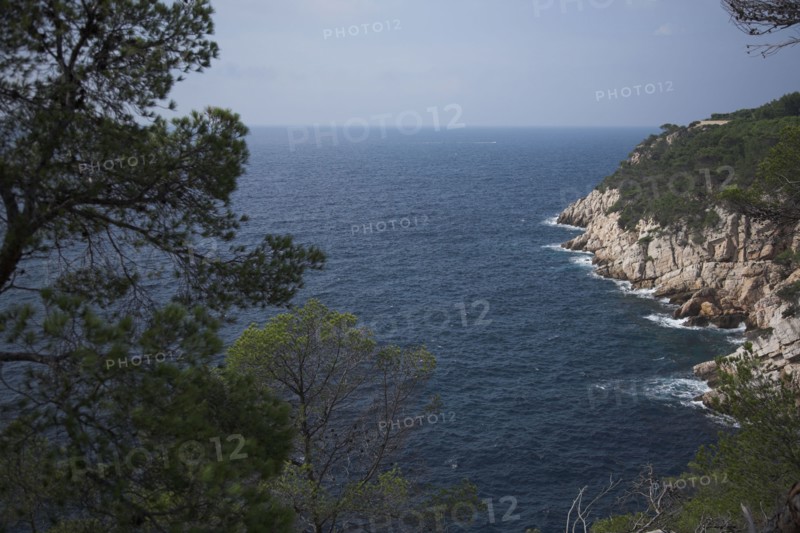 Provence322 Côte varoise, Méditerranée, pins maritimes, calanques, printemps