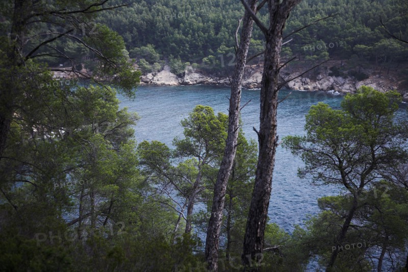 Provence325 Côte varoise, Méditerranée, pins maritimes, calanques, printemps