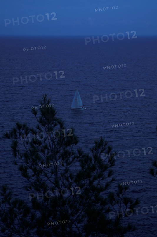Provence326 Voilier en Méditerranée, pins maritimes, "nuit américaine"