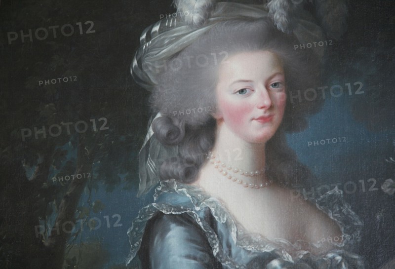 Versailles083 Château de Versailles, Petit Trianon, détail du portrait de Marie-Antoinette à la rose (1784), tableau d'Elisabeth-Louise Vigée-Le Brun (1755-1842)