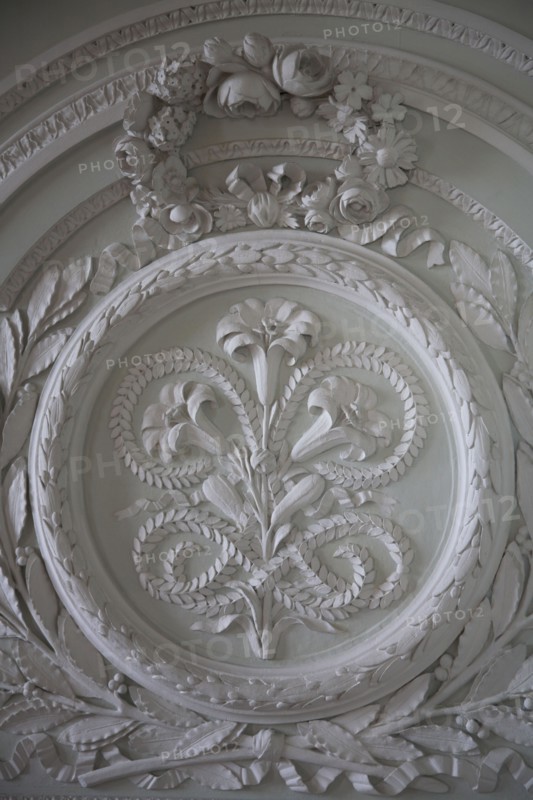 Versailles105 Château de Versailles, Petit Trianon, boiseries sculptées de fleurs, médaillon et fleurs de lys