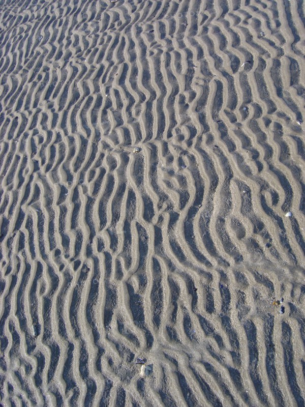 Normandie020 Environs de Honfleur, Trouville, côte normande. Traces de marée sur le sable gris, plage de Normandie