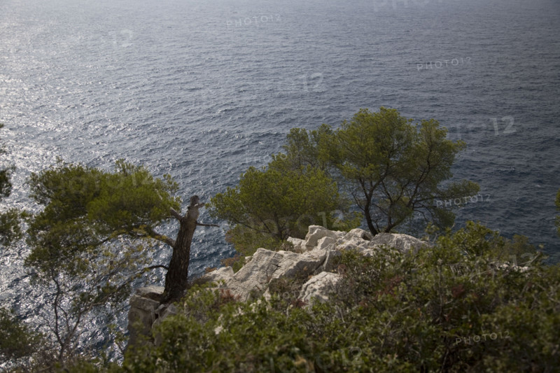 Provence360 Provence, côte méditerranéenne, calanque, crique, pin maritime, pinède, mer Méditerranée