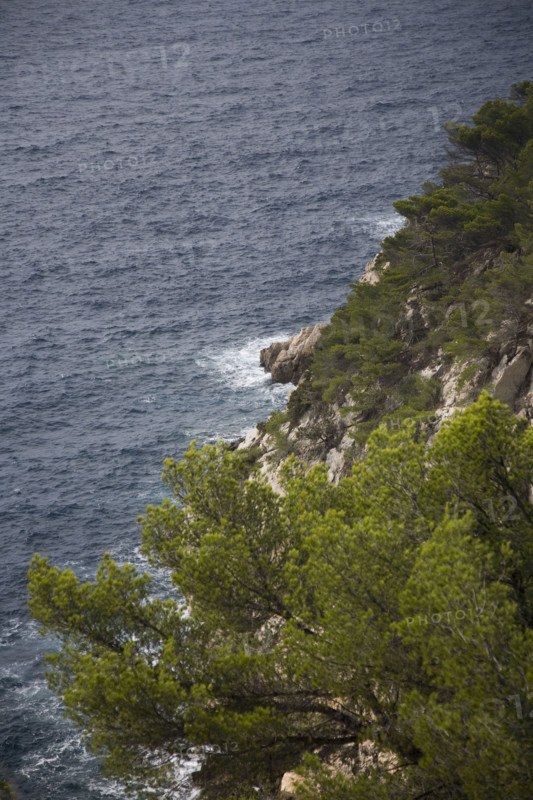 Provence361 Provence, côte méditerranéenne, calanque, crique, pin maritime, pinède, mer Méditerranée