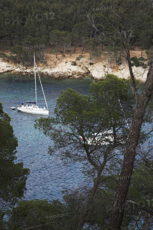 Provence363 Provence, côte méditerranéenne, calanque, crique, pin maritime, pinède, mer Méditerranée, voilier dans la calanque
