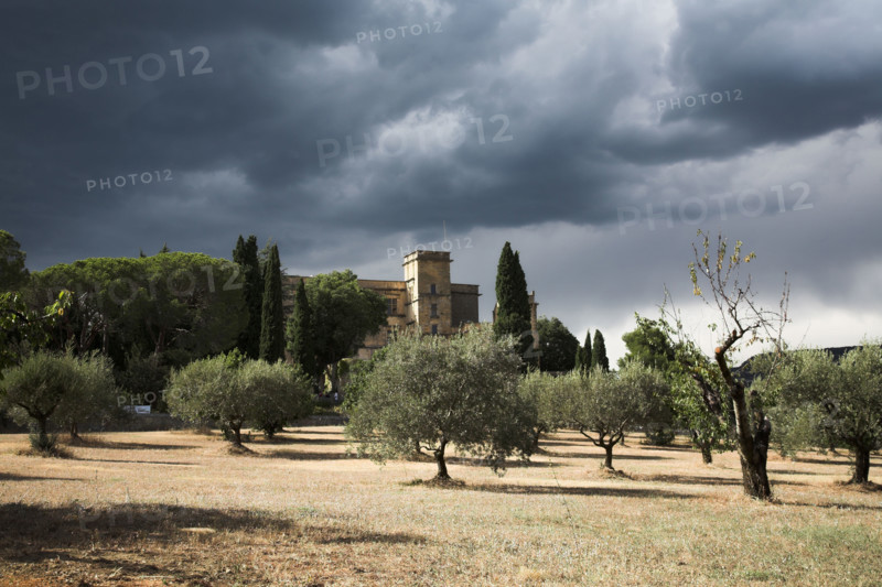 Provence378 Provence, Luberon, Lourmarin, château, oliviers, oliveraie, été ciel d'orage