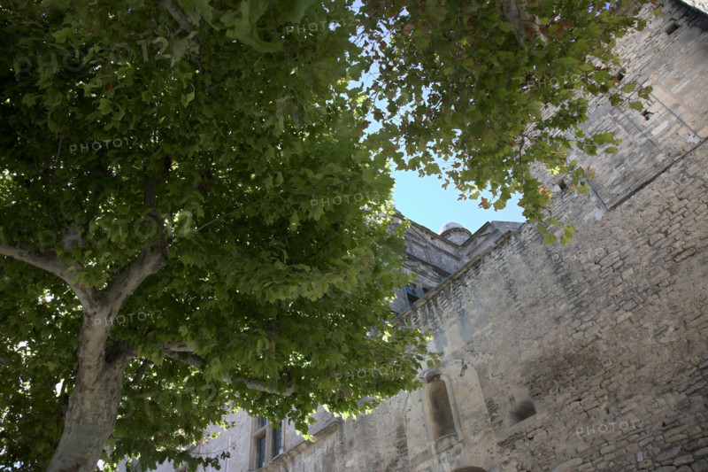 Provence484 Provence, Luberon, village de Gordes, murs du château, platanes, été