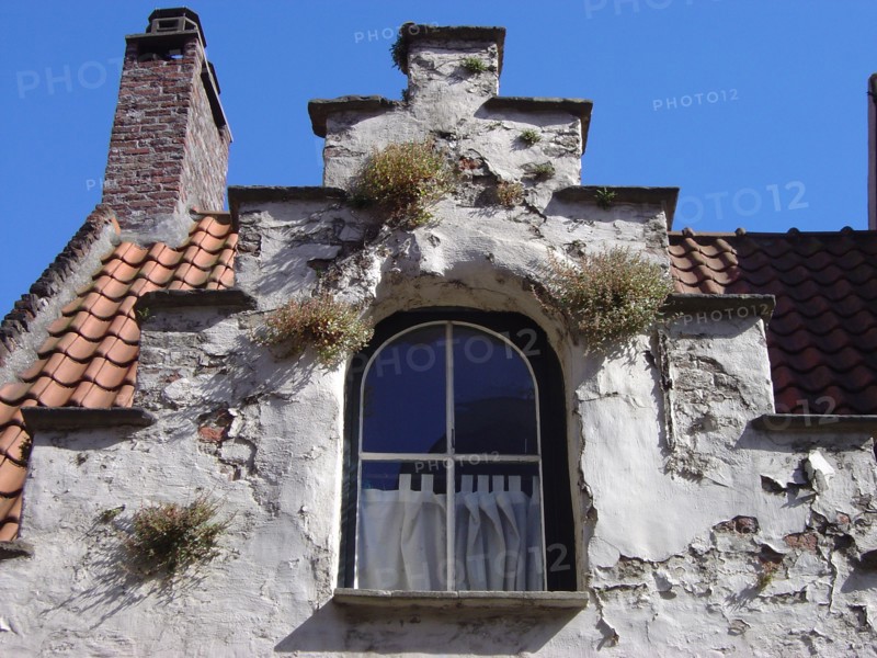 Bruges. Façade fleurie au Printemps, fenêtre, ruelles de la ville médiévale