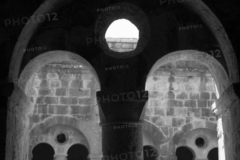 Provence807 Abbaye du Thoronet, le cloître : arcades géminées, oculus et chapiteaux