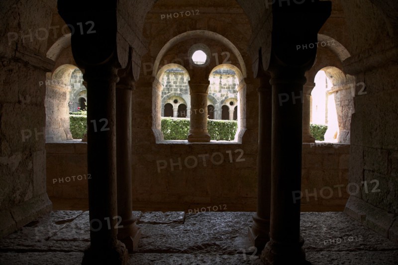 Provence809 Abbaye du Thoronet, le cloître vu depuis la salle capitulaire : arcades géminées, oculus et chapiteaux, vue sur le jardin du cloître