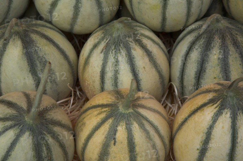 Provence742 Marché de Provence, melons