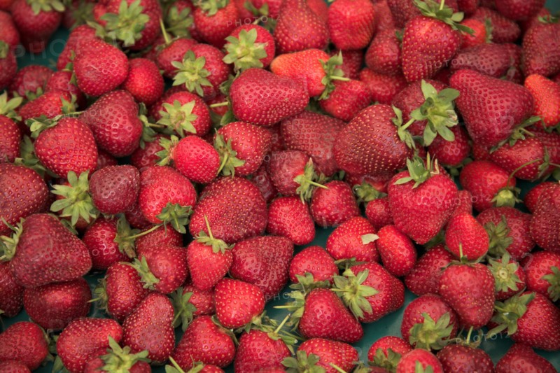 Provence755 Marché de Provence, fraises