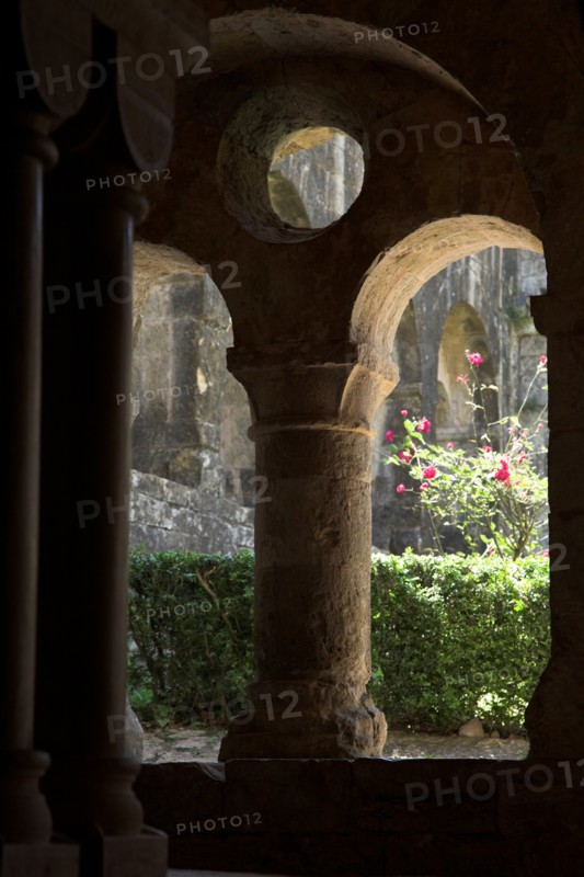 Provence804 Abbaye du Thoronet, le cloître : arcades géminées, oculus et chapiteau, jardin