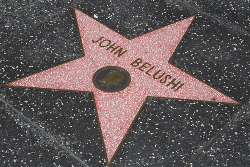 Hollywood Boulevard, Walk of Fame, stars / étoiles : John Belushi