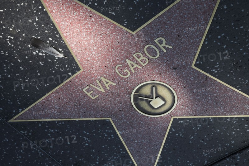 Hollywood Boulevard, Walk of Fame, stars / étoiles : Eva Gabor