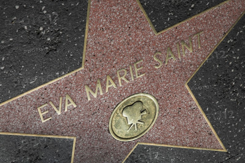 Hollywood Boulevard, Walk of Fame, stars / étoiles : Eva Marie Saint
