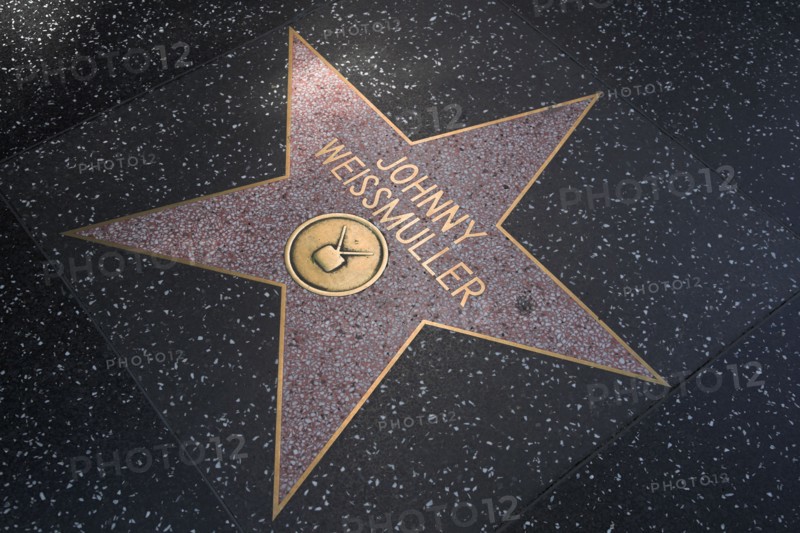 Hollywood Boulevard, Walk of Fame, stars / étoiles : Johnny Weissmuller
