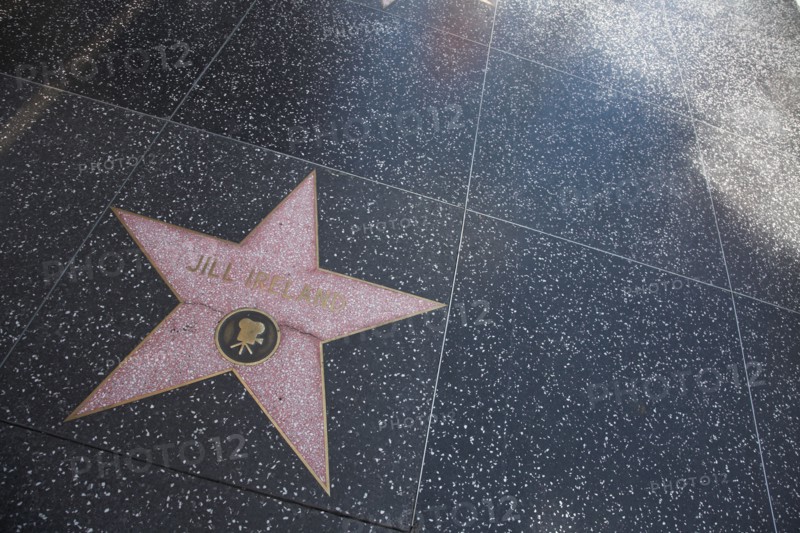 Hollywood Boulevard, Walk of Fame, stars / étoiles : Jill Ireland
