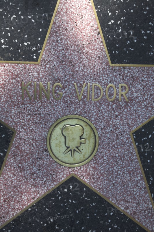 Hollywood Boulevard, Walk of Fame, stars / étoiles : King Vidor