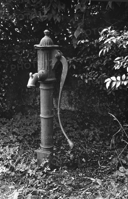 Water pump