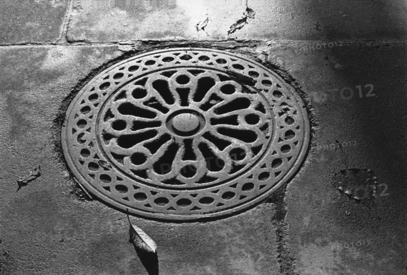 Cellar cover, Dublin