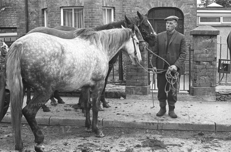 Killorglin horse fair, 1980