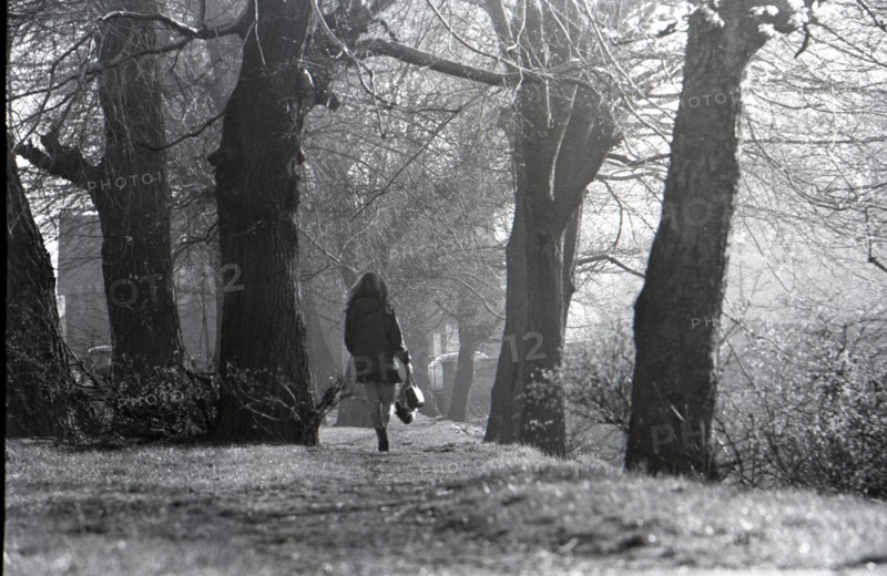 By Grand Canal, Dublin