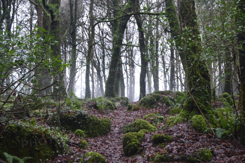 Woodlands, County Mayo