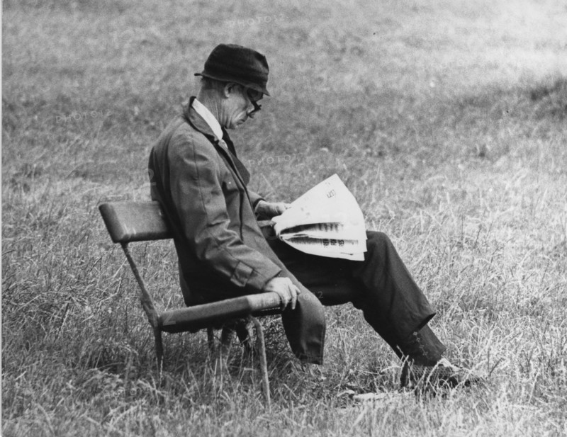 Reading in Phoenix Park