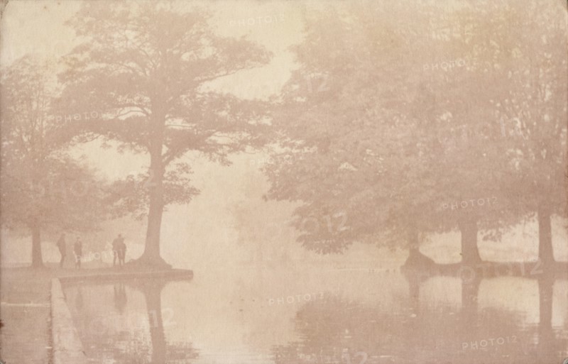 Herbert Park in mist, Dublin