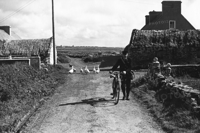 Postman and geese, County Kerry