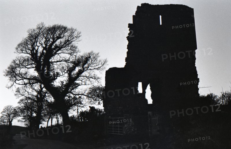 Ruins of Carrickoris Castle