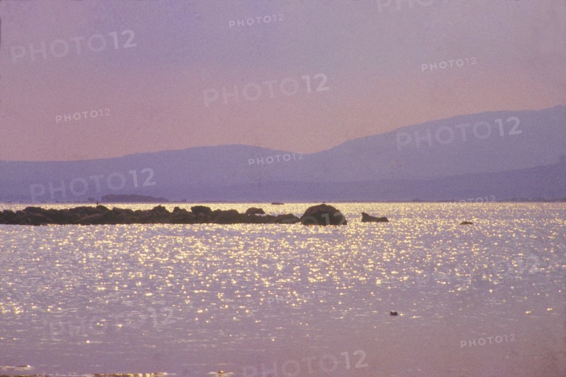 Lough Cullin, County Mayo
