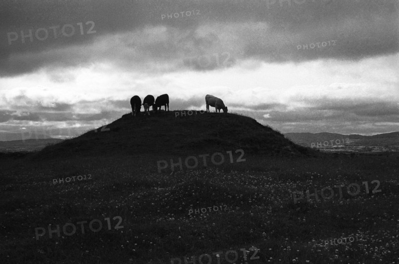 Ancient burial mound, Cloonlara, County Mayo
