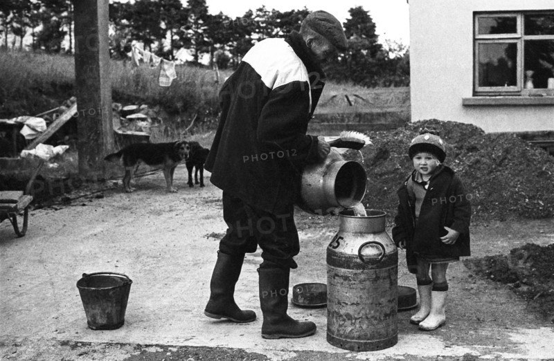 Collecte de lait, Irlande