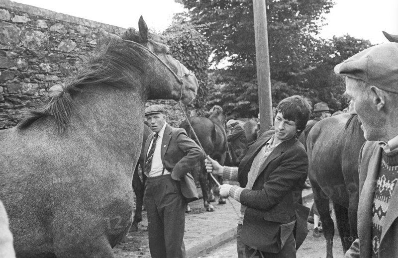 Foire aux chevaux, Irlande