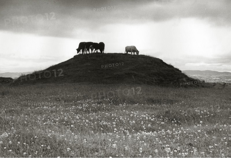 Ancient burial mound, Cloonlara, County Mayo