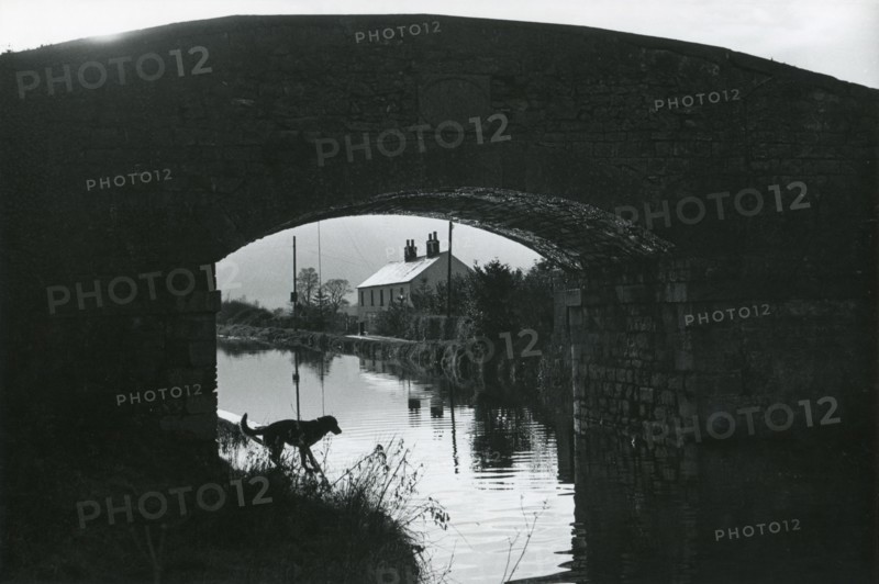Royal Canal a Hazelhatch, County Kildare
