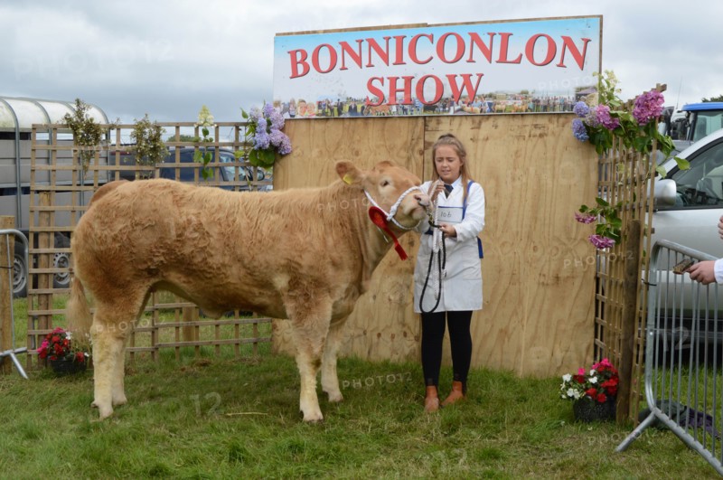 Salon de l'agriculture de Bonniconlon, Irlande