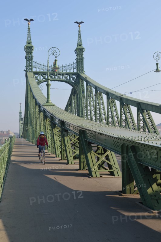 Le Pont de la Liberté, à Budapest